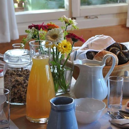 Grosszuegige Ferienwohnung Am Skigebiet Boedele Mit Rheintalblick 多恩比恩 外观 照片
