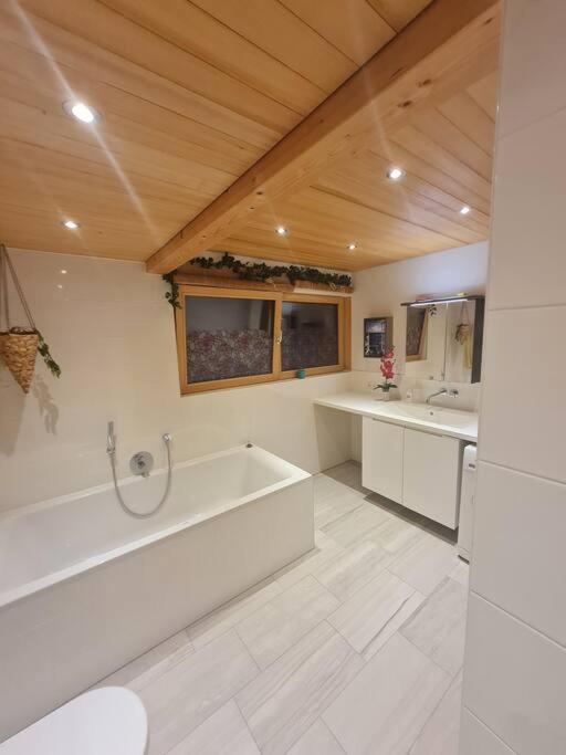 Grosszuegige Ferienwohnung Am Skigebiet Boedele Mit Rheintalblick 多恩比恩 外观 照片